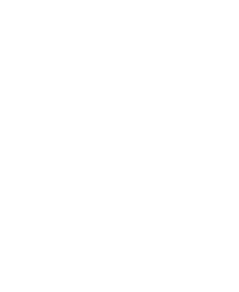 Layer 37 copy 2